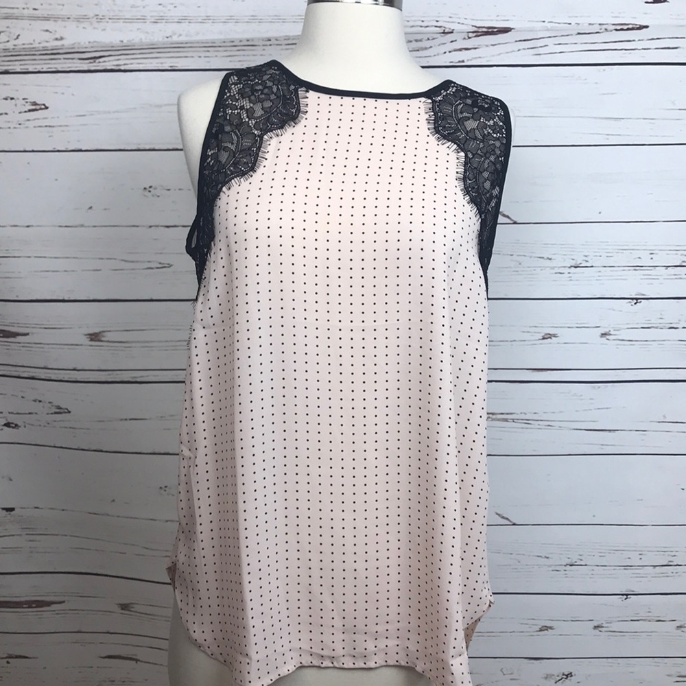 Ann Taylor LOFT Polka Dot Chiffon & Lace Blouse